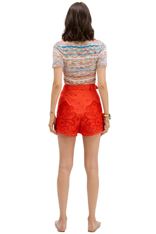 Allison Sia Top
